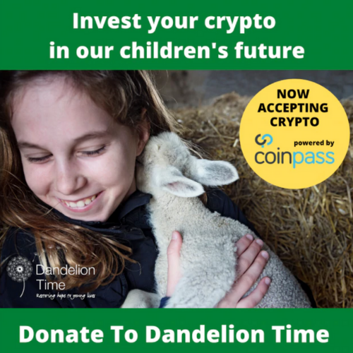 Crypto fundraising